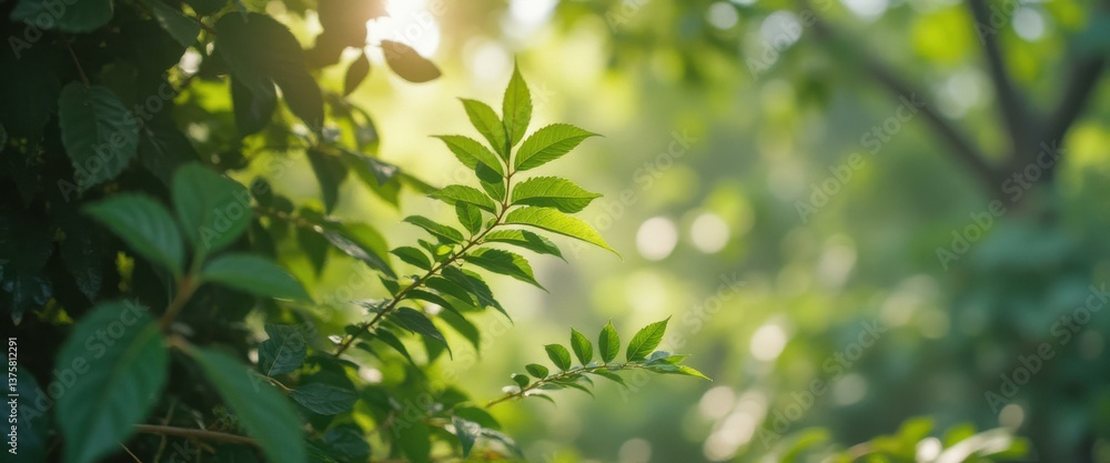 Sunlight Through Forest Leaves Creates a Serene Green Atmosphere Sunlight Through Forest Leaves Creates a Serene Green Atmosphere