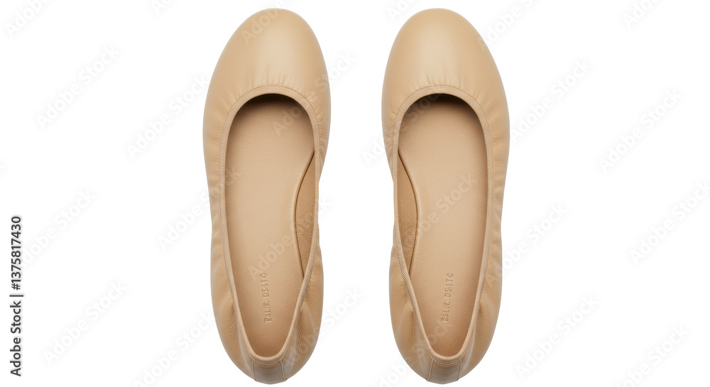 Isolated Pair of Beige Ballet Flats Top View Isolated Pair of Beige Ballet Flats Top View