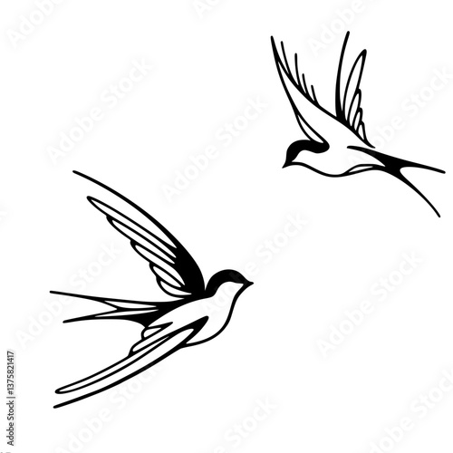Elegant birds flying in a minimalist black and white style , single line vector   