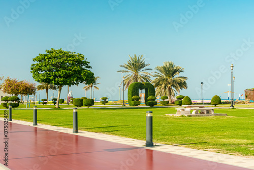 Kalba Corniche in Sharjah United Arab Emirates (UAE) on a beautiful day walking along the Gulf of Oman near the city. with beautiful yellow flowers