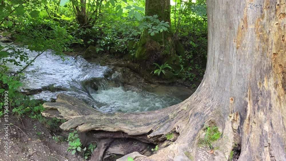 Der Wasserfall in Bad Urach, eingebettet in eine üppige grüne Waldlandschaft. Das Wasser strömt über eine Felswand hinab und bildet unten einen kleinen Pool, umgeben von moosbedeckten Steinen. Der Wasserfall in Bad Urach, eingebettet in eine üppige grüne Waldlandschaft. Das Wasser strömt über eine Felswand hinab und bildet unten einen kleinen Pool, umgeben von moosbedeckten Steinen.