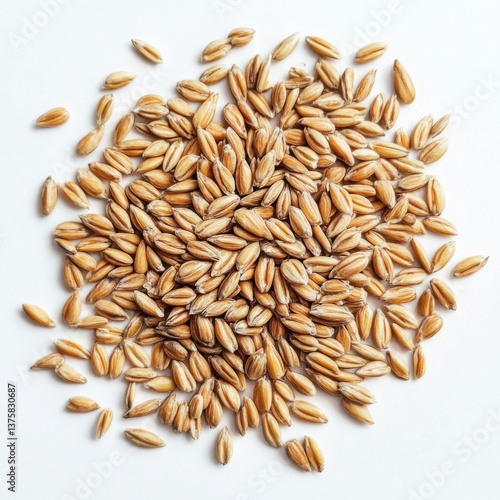 Wheat, white background,