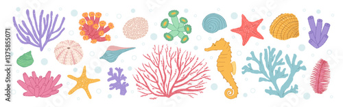 Set of various sea shells, starfishes and corals. Cartoon ocean aquarium plants. Underwater reef flora vector crayon illustration. Pastel chalk doodle