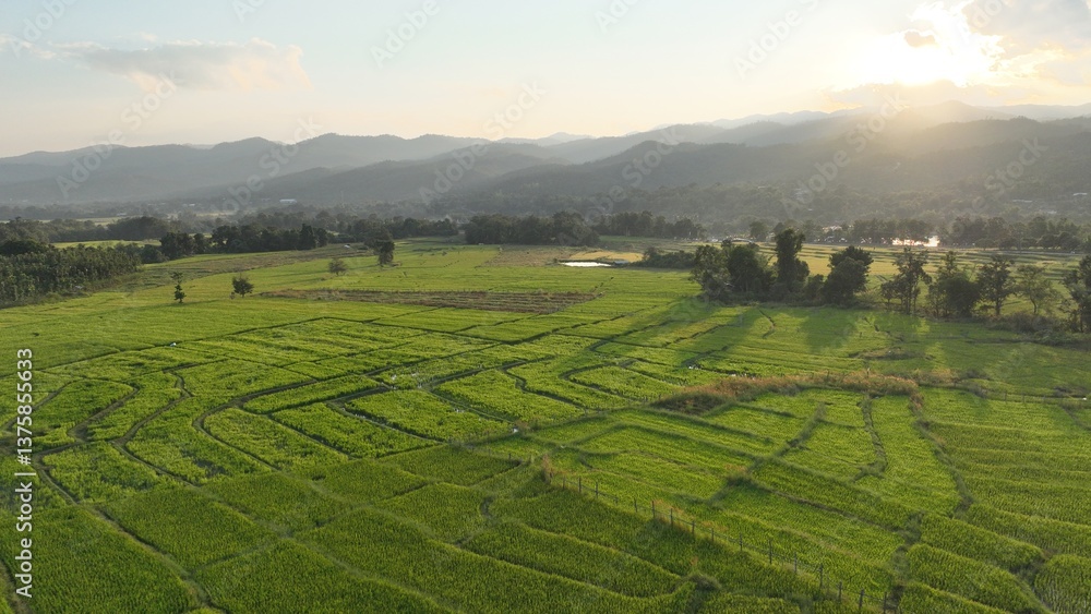 Aerial view of terraced agriculture field among greenery mountains with the blue cloudy and sunlight in the northern of Thailand, Omkoi district, Chiang Mai. Aerial view of terraced agriculture field among greenery mountains with the blue cloudy and sunlight in the northern of Thailand, Omkoi district, Chiang Mai.