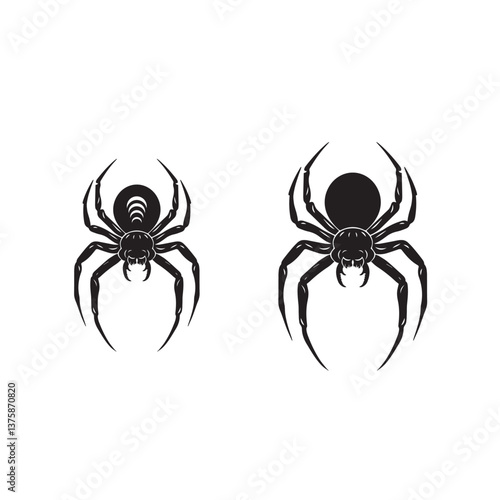 black spider isolated on white