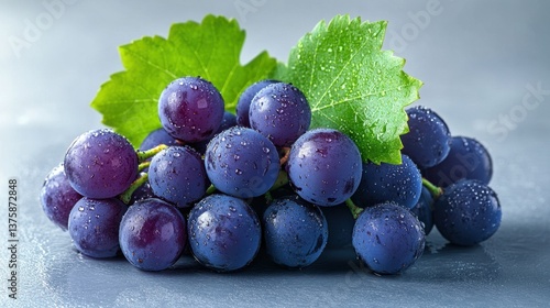 Wallpaper Mural Fresh Purple Grapes with Dew and Green Leaves on a Smooth Surface Torontodigital.ca