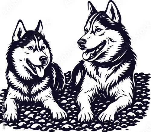 Cute Husky Couple 