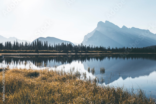 landscape and nature photograph shot during a summer journey in canada, with lakes, rocky mountains, animals and clouds through wide pine tree forests