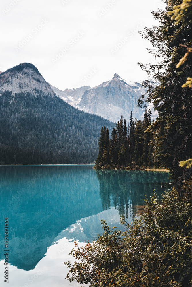 Obraz premium landscape and nature photograph shot during a summer journey in canada, with lakes, rocky mountains, animals and clouds through wide pine tree forests