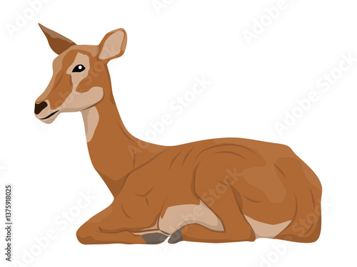 Female Antelope Cob lying down. Mammals of Central Africa. realistic vector animals
