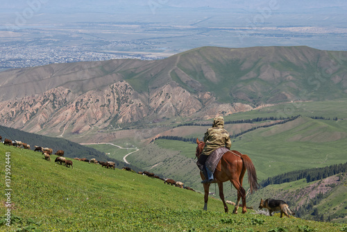 shepherd on horseback grazes a flock of sheep in the mountains