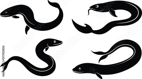 eel fish silhouette vector illustration, vector set of sea animals, sea animals set.