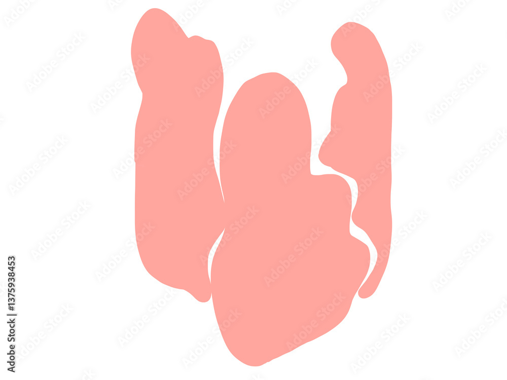 Fototapeta premium hand drawn illustration of flower pink