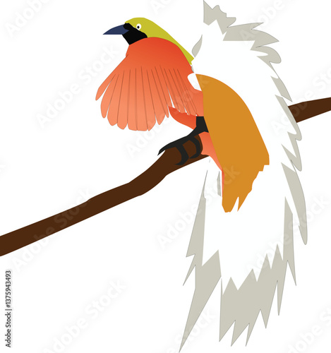 vector illustration of a bird