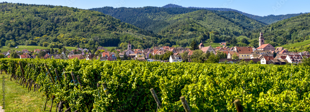 Ensisheim, Vine Growing Region Alsace, France