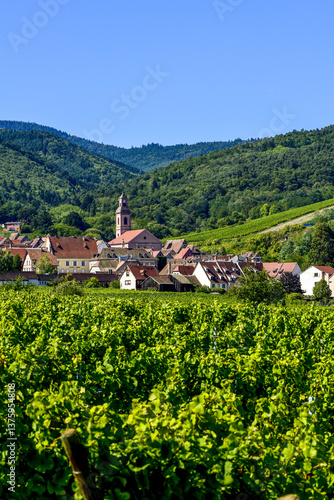 Obraz na płótnie Ensisheim, Vine Growing Region Alsace, France w salonie