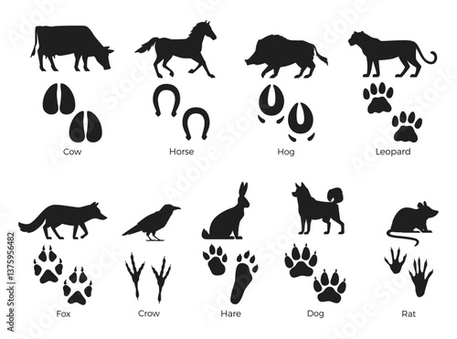 Obraz na płótnie Animals silhouettes with footprint. Mammals, rodents, birds black paws prints, wild life representatives, cow, rat, hare, isolated elements with text, wildlife footstep, nowaday vector set w salonie