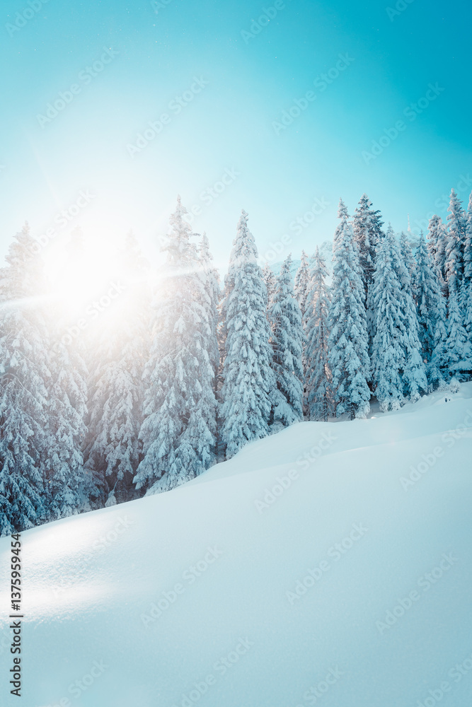 Fototapeta premium winter in den bergen