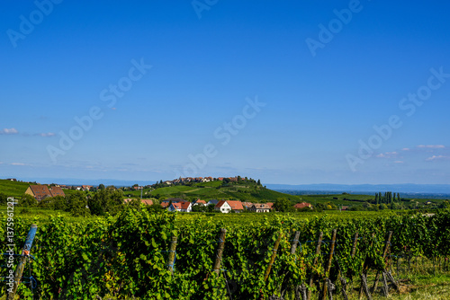 Obraz na płótnie Ensisheim, Vine Growing Region Alsace, France w salonie