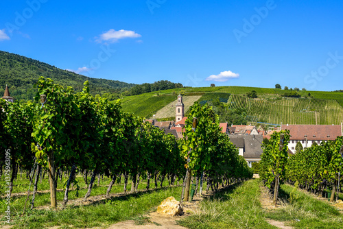Obraz na płótnie Ensisheim, Vine Growing Region Alsace, France w salonie