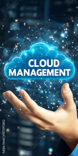 Obraz na płótnie IT Professional Seamlessly Managing Cloud Storage Solutions, Futuristic Data Center Background w salonie