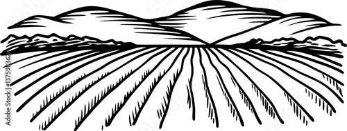 Scenic landscape of rolling hills and expansive fields in black and white illustration