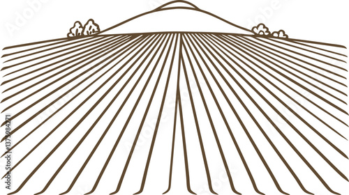 Minimalist landscape illustration with linear fields and horizon