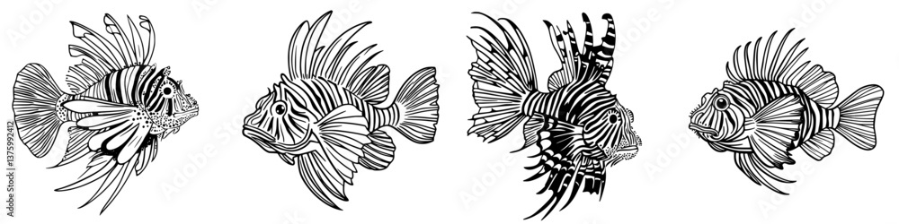 Intricate black and white drawings of various lionfish showcasing their unique features and patterns Intricate black and white drawings of various lionfish showcasing their unique features and patterns