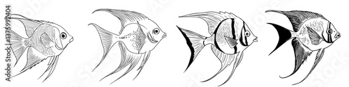 Artistic illustrations of various fish designs swimming in fluid motion