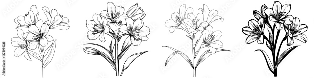 custom made wallpaper toronto digitalFloral sketches showcasing alstroemeria with varying line styles and levels of detail in a botanical study