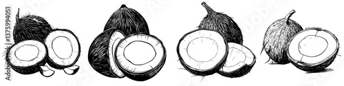 Fresh local fruits including mangosteen and rambutan in a detailed illustration showcasing their unique textures and shapes