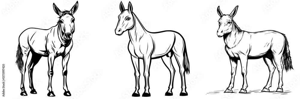 Various detailed sketches of horses showcasing different poses and characteristics in an artistic style Various detailed sketches of horses showcasing different poses and characteristics in an artistic style