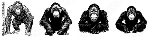 Illustration showcasing four different poses of orangutans in black and white setting