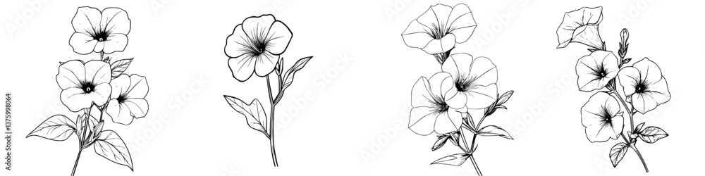 Floral sketches featuring various petunia flowers in a simple, elegant design with fine lines and details