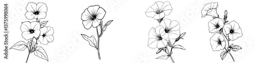 Obraz na płótnie Floral sketches featuring various petunia flowers in a simple, elegant design with fine lines and details w salonie