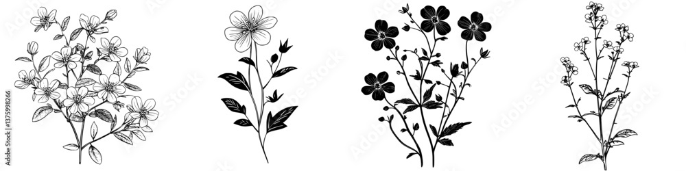 Detailed illustrations of various wildflowers showing unique shapes and designs perfect for art and design projects Detailed illustrations of various wildflowers showing unique shapes and designs perfect for art and design projects