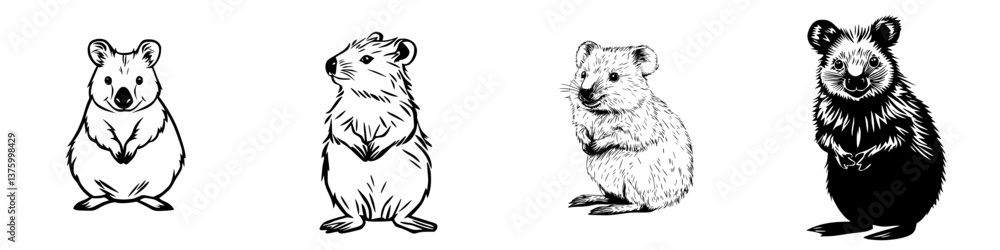 Different species of small mammals standing upright on their hind legs against a white background Different species of small mammals standing upright on their hind legs against a white background