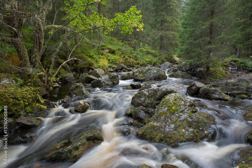 Long exposure shot of water flowing in stream Long exposure shot of water flowing in stream