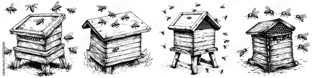 Detailed illustrations of beehives in various styles set in a natural environment