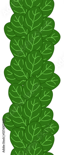 Green spinach leaves seamless vertical border leafy vegetables frame, boxing, bordering. card template. Vector flat illustration banners, print for fabric, labels, t-shirt printing. Eat green