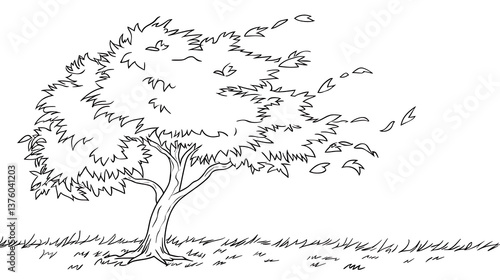 A tree with leaves blowing in the wind