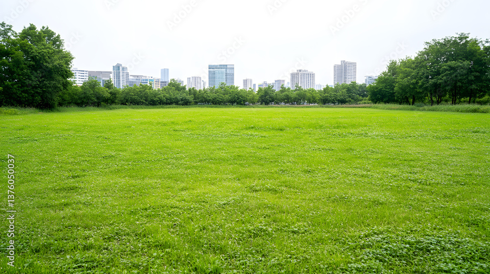 A harmonious blend of urban architecture and lush greenery, representing a sustainable green city.
A harmonious blend of urban architecture and lush greenery, representing a sustainable green city.