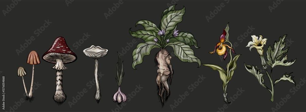 Naklejka premium Goblincore style plant and mushroom set