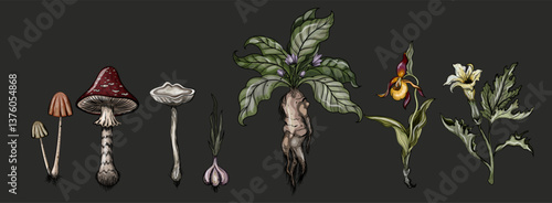Goblincore style plant and mushroom set