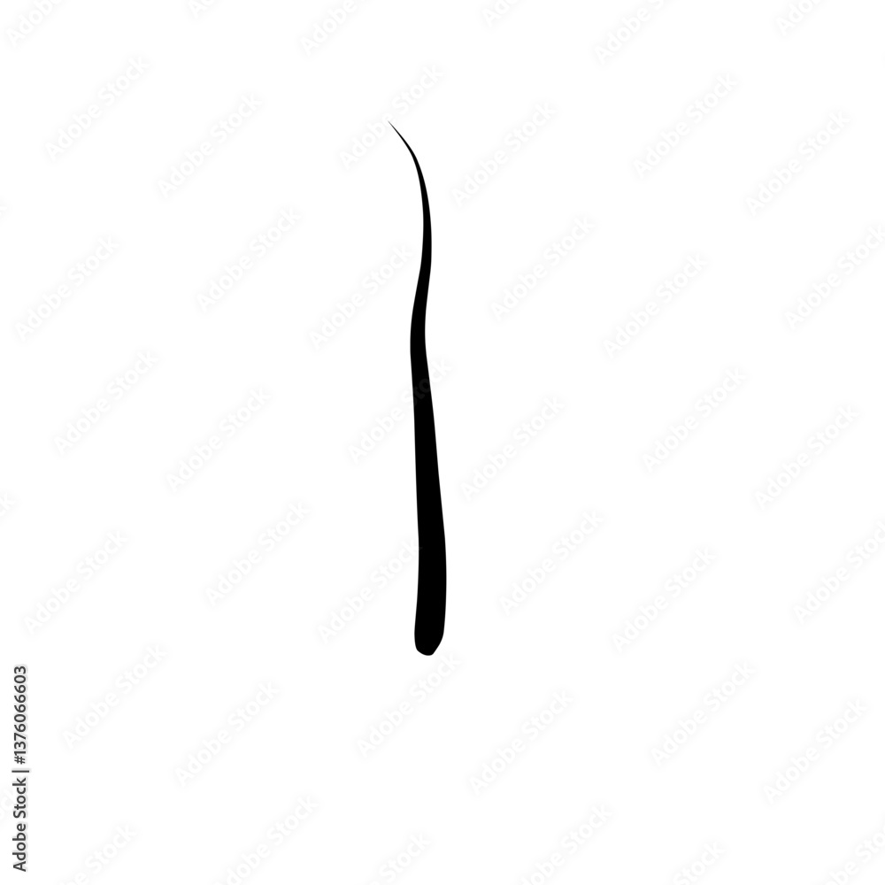 Hair Strand Vector Hair Strand Vector