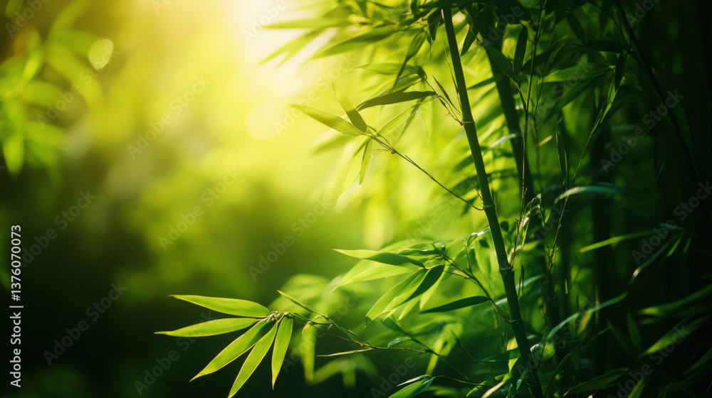 A natural setting with solid green bamboo stalks in the foreground, the texture of the bamboo standing out against the blurred forest backdrop,A natural scene with solid green bamboo, the texture of
A natural setting with solid green bamboo stalks in the foreground, the texture of the bamboo standing out against the blurred forest backdrop,A natural scene with solid green bamboo, the texture of