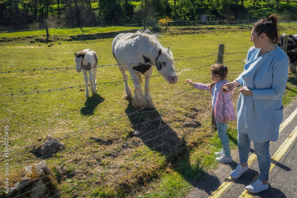 A delightful and joyful moment captured with a mother and her child as they feed the horses in a stunningly beautiful countryside setting, embraced by natures, Bohernabreena Reservoir, Dublin, Ireland