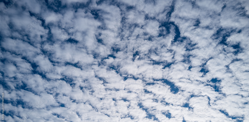 Sky with fluffy clouds. Bright blue sky background. Cloudscape with white clouds. Calm sky on a sunny day. Sunlight through the clouds. Spring sky with soft clouds. Sky with fluffy clouds. Bright blue sky background. Cloudscape with white clouds. Calm sky on a sunny day. Sunlight through the clouds. Spring sky with soft clouds.