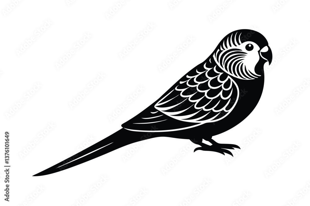 Parakeet vector silhouette Parakeet vector silhouette