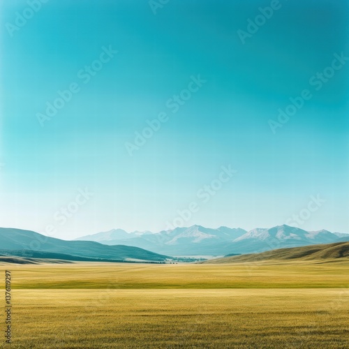 A wide-open field with a distant mountain range on the horizon, the field of grass stretching endlessly toward the mountains under a vast, clear sky, capturing the natural scale of the landscape